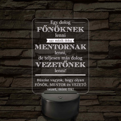 Főnök – Mentor – Vezető – 7 színű, színváltós 3D LED lámpa (egyes számú megfogalmazással!)