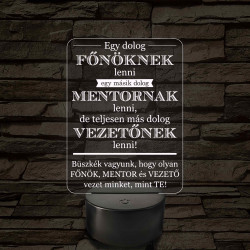 Főnök – Mentor – Vezető – 7 színű, színváltós 3D LED lámpa (többes számban)