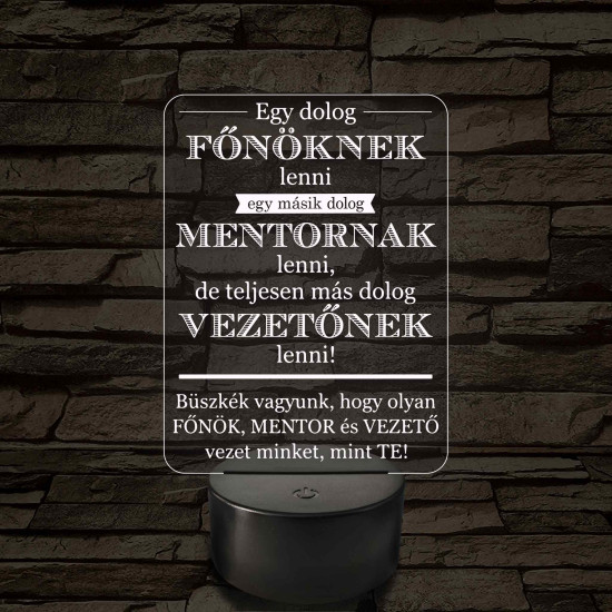 Főnök – Mentor – Vezető – 7 színű, színváltós 3D LED lámpa (többes számban)