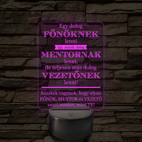 Főnök – Mentor – Vezető – 7 színű, színváltós 3D LED lámpa (többes számban)