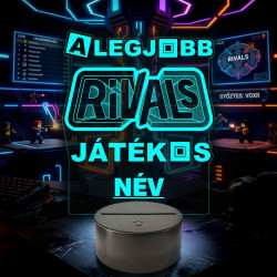A Legjobb Roblox Rivals Játékos – Személyre szabható 7 színű, színváltós 3D LED lámpa