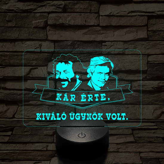 Bud Spencer & Terence Hill 7 színű  3D led lámpa