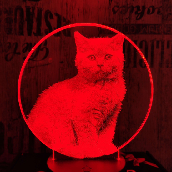 Brit cica 7 színű valósághű 3D led lámpa