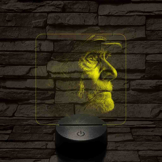 Öreg 7 színű valósághű 3D led lámpa