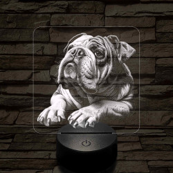 Angol Buldog portré 7 színű valósághű 3D led lámpa