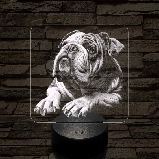 Angol Buldog portré 7 színű valósághű 3D led lámpa