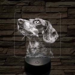 Rövid szőrű tacskó portré 7 színű valósághű 3D led lámpa