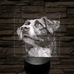 Ausztrál Juhászkutya portré 7 színű valósághű 3D led lámpa