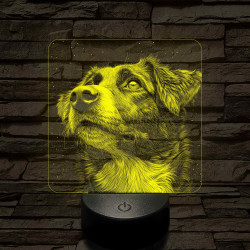 Ausztrál Juhászkutya portré 7 színű valósághű 3D led lámpa
