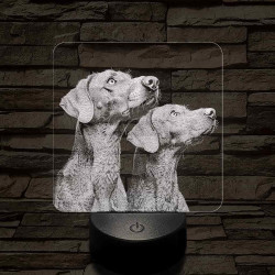 Rövidszőrű magyar vizsla pár 7 színű valósághű 3D led lámpa