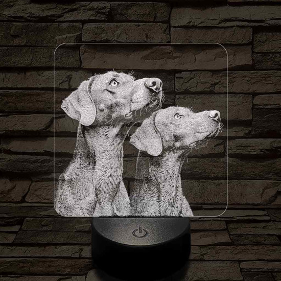 Rövidszőrű magyar vizsla pár 7 színű valósághű 3D led lámpa