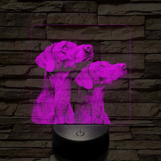 Rövidszőrű magyar vizsla pár 7 színű valósághű 3D led lámpa