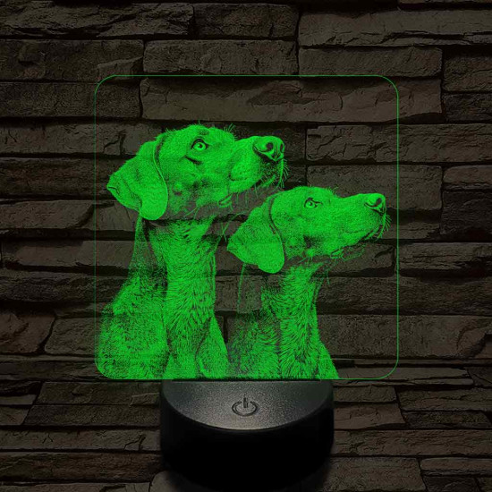 Rövidszőrű magyar vizsla pár 7 színű valósághű 3D led lámpa