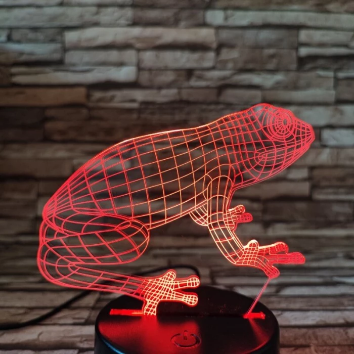 Béka a breki  7 színű 3D led lámpa