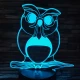 Bagoly 4 7 színű 3D led lámpa