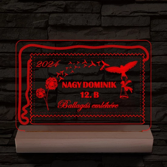 Ballagás emlékére személyre szabott 20 cm fa talppal 7 színű 3D led lámpa