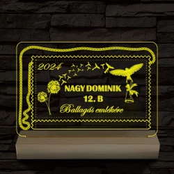 Ballagás emlékére személyre szabott 20 cm fa talppal 7 színű 3D led lámpa
