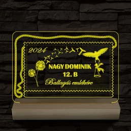 Ballagás emlékére személyre szabott 20 cm fa talppal 7 színű 3D led lámpa