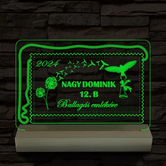 Ballagás emlékére személyre szabott 20 cm fa talppal 7 színű 3D led lámpa