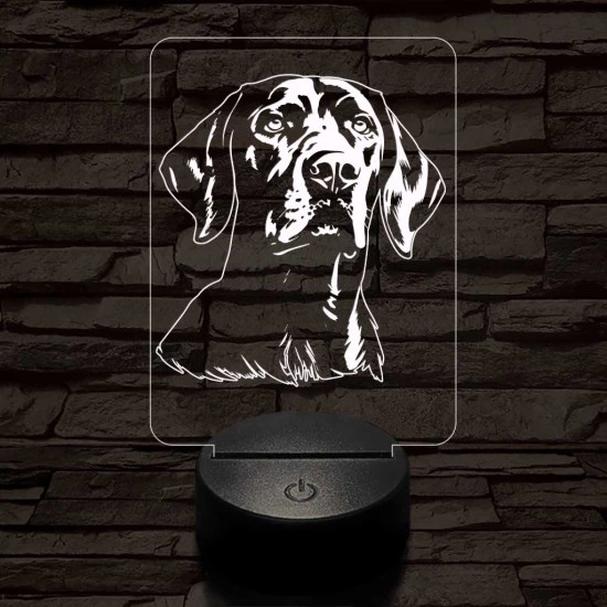 Vizsla 7 színű 3D led lámpa