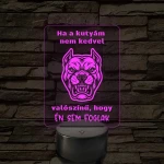 Ha a kutyám nem kedvel – 7 színű, színváltós LED lámpa