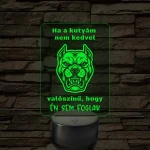 Ha a kutyám nem kedvel – 7 színű, színváltós LED lámpa