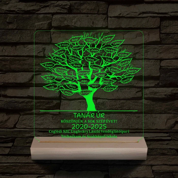 Leveles osztályfa fatalppal 7 színű 3D led lámpa
