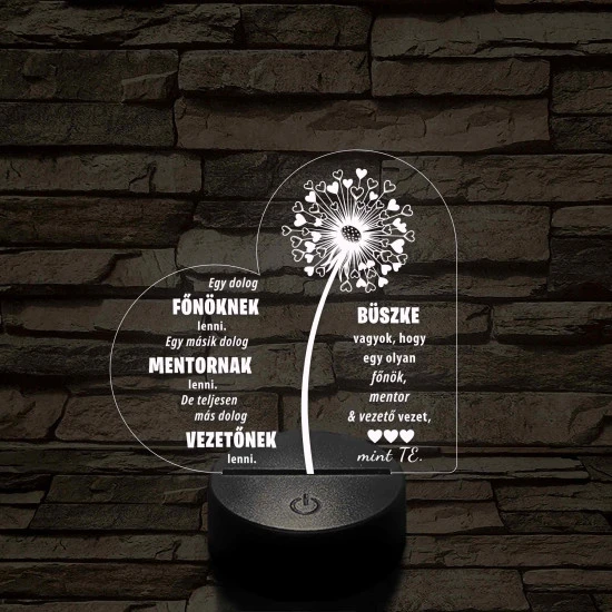 Főnök – Mentor – Vezető – 7 színű, színváltós 3D LED lámpa (egyes számban)