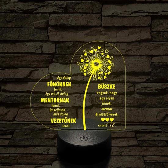 Főnök – Mentor – Vezető – 7 színű, színváltós 3D LED lámpa (egyes számban)