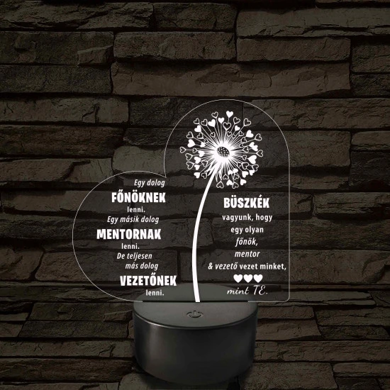 Főnök – Mentor – Vezető – 7 színű, színváltós 3D LED lámpa (többes számú megfogalmazással!)