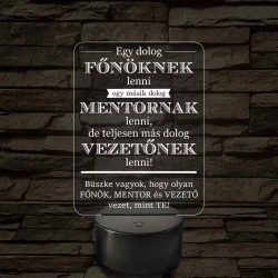 Főnök – Mentor – Vezető – 7 színű, színváltós 3D LED lámpa (egyes számú megfogalmazással!)