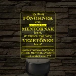 Főnök – Mentor – Vezető – 7 színű, színváltós 3D LED lámpa (többes számban)
