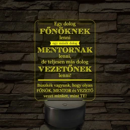 Főnök – Mentor – Vezető – 7 színű, színváltós 3D LED lámpa (többes számban)