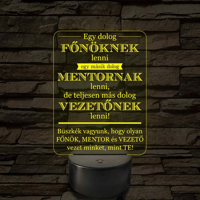 Főnök – Mentor – Vezető – 7 színű, színváltós 3D LED lámpa (többes számban)