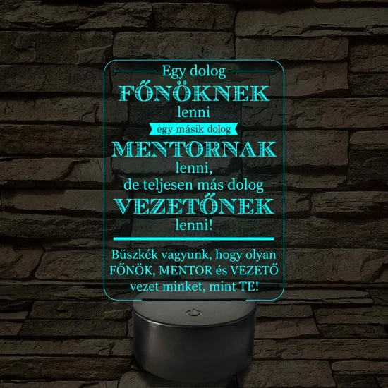 Főnök – Mentor – Vezető – 7 színű, színváltós 3D LED lámpa (többes számban)