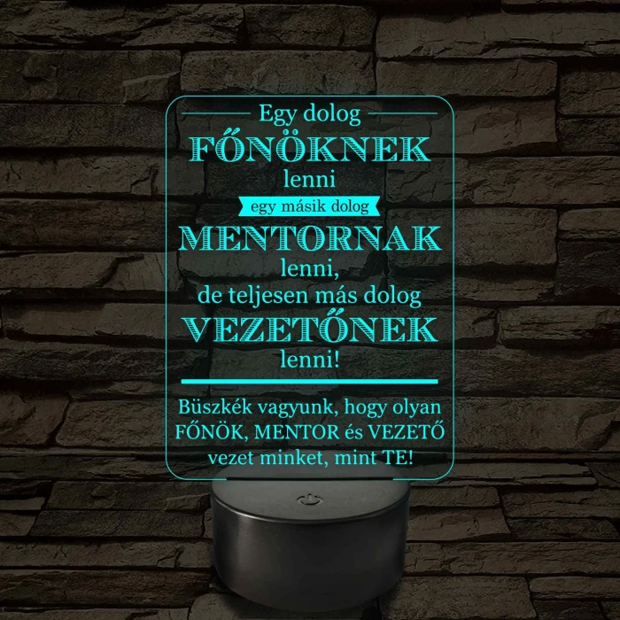 Főnök – Mentor – Vezető – 7 színű, színváltós 3D LED lámpa (többes számban)