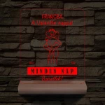 I Love You Every Day fatalppal 7 színű 3D led lámpa