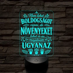 Kertész szakma lámpa – 7 színű, színváltós 3D LED lámpa