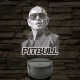 Pitbull portrés hangulatlámpa – 7 színű, színváltós LED lámpa