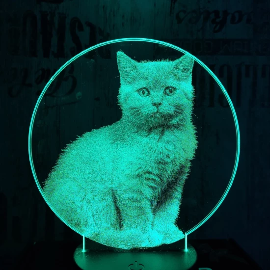 Brit cica 7 színű valósághű 3D led lámpa
