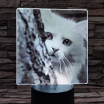 Cica bújócska 7 színű valósághű 3D led lámpa