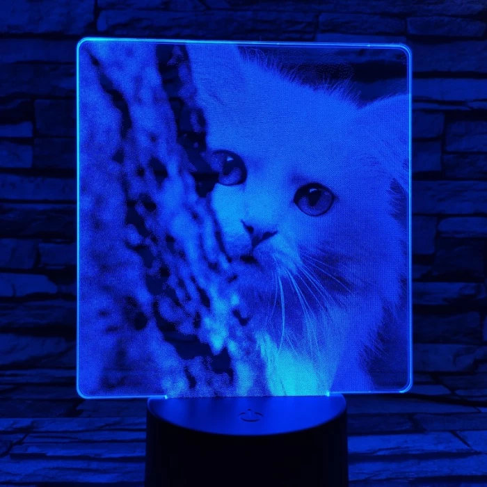 Cica bújócska 7 színű valósághű 3D led lámpa