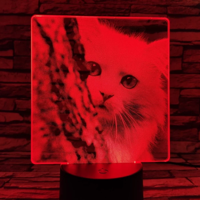 Cica bújócska 7 színű valósághű 3D led lámpa
