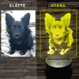 Egyedi fotógravírozás 7 színű 3D led lámpa