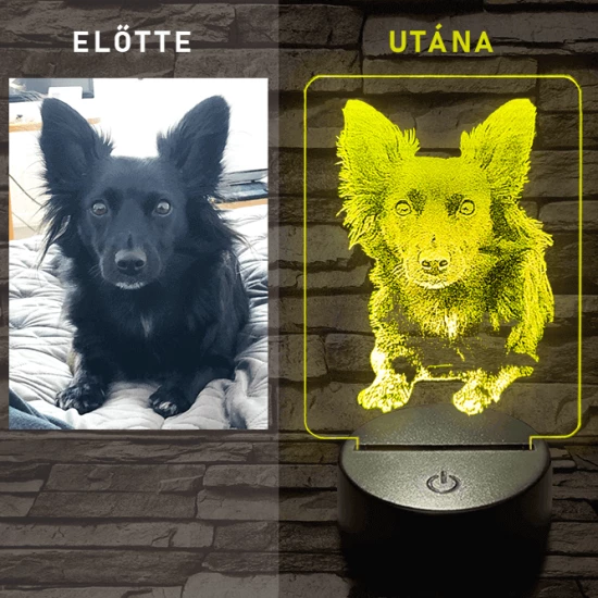 Egyedi fotógravírozás 7 színű 3D led lámpa