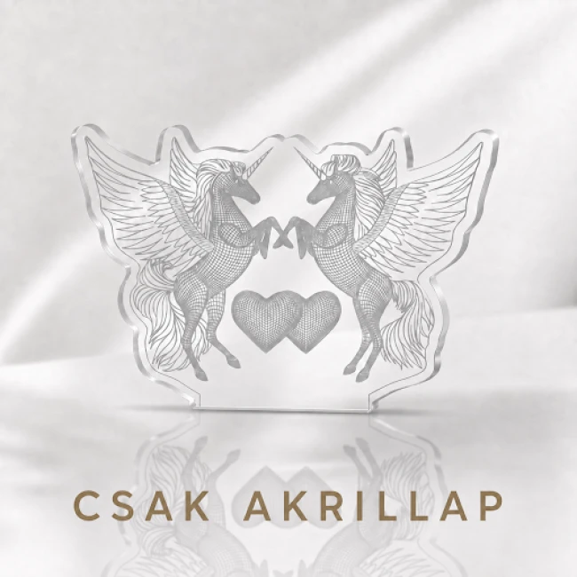 Csak az akril lapot kérem talp nélkül (műanyaghoz)