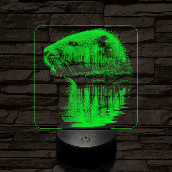 Hódolat 7 színű valósághű 3D led lámpa