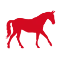 Ló