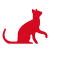 Macska